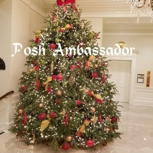 POSH AMBASSADORE